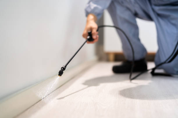 Licensed Mosquito Control service in Brookings, OR - Show Me Pest Control
