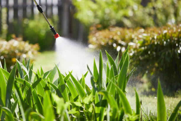 24/7 Emergency Mosquito Control experts in Brookings, OR