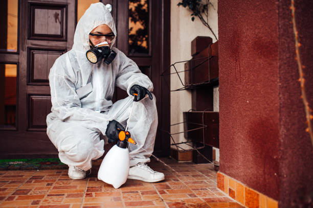 Reliable Mosquito Control contractor in Brookings, OR by Show Me Pest Control