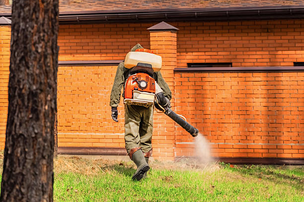 Top rated local Mosquito Control specialists in Brookings, OR